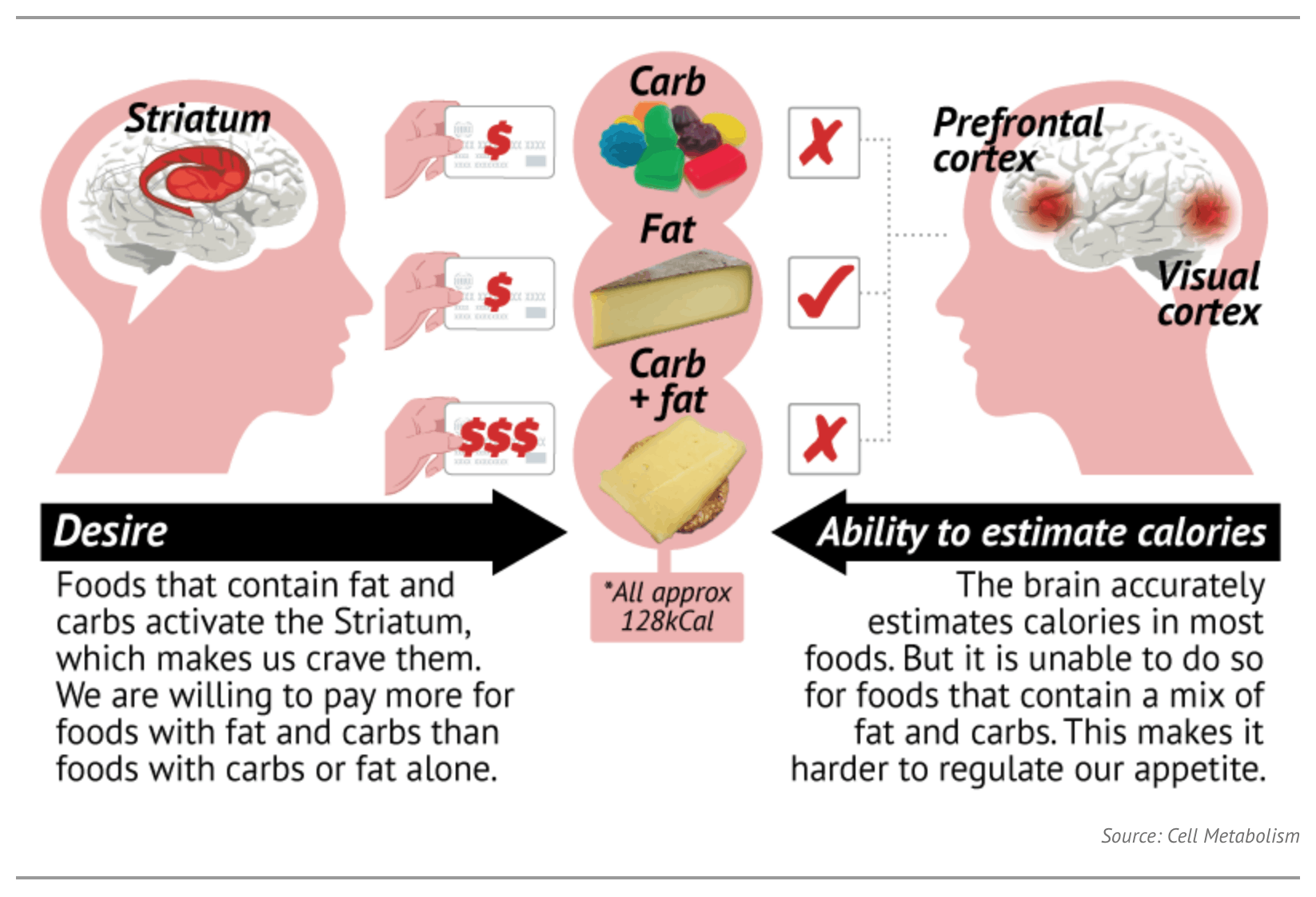 Why Do We Crave High Carb Fatty Foods Upper Gi Surgery