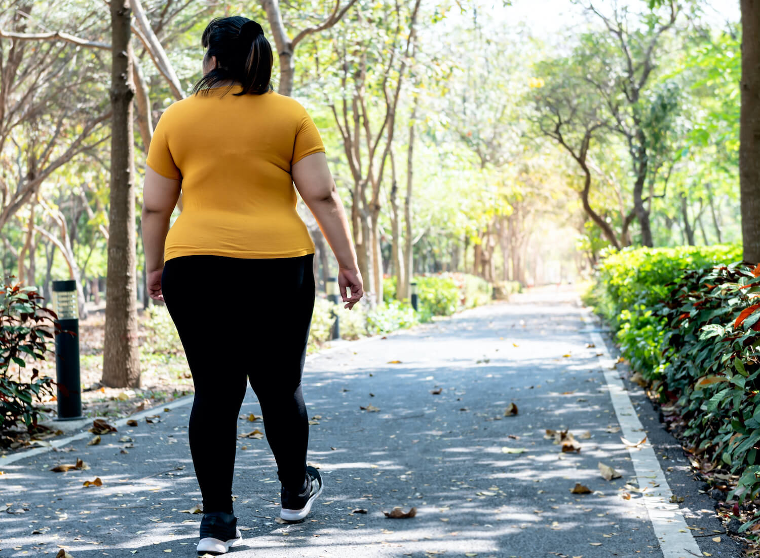 Behind,The,Asian,Fat,Woman,Walking,For,Exercise,In,The Prof Michael Talbot