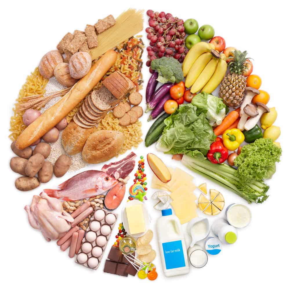 What is in your food; the facts!
